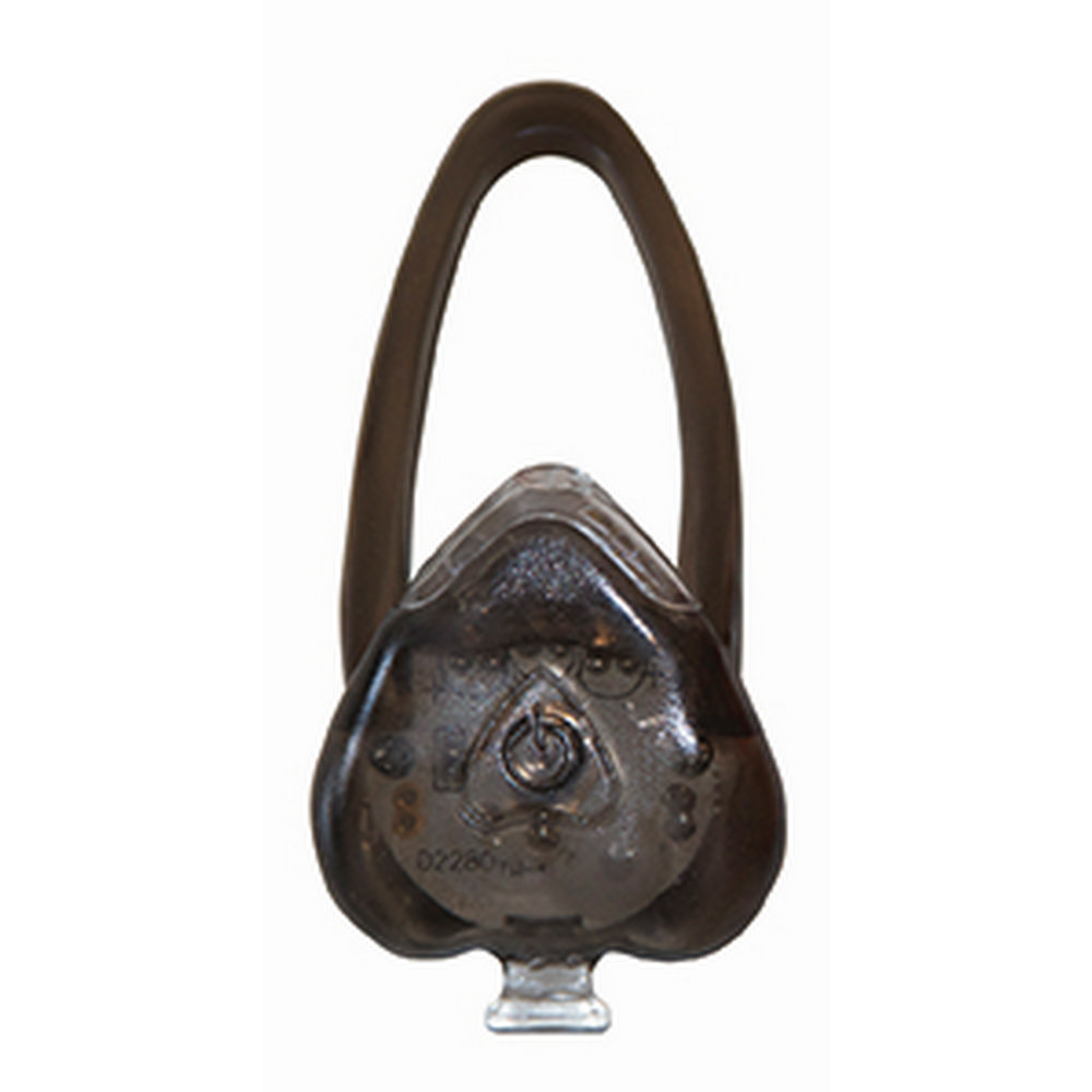 fos-pollaplon-chriseon-LUX-B-B-2