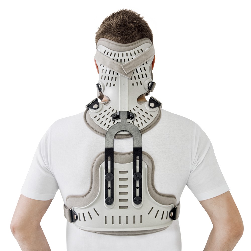 narthikas-minerva-vi-1