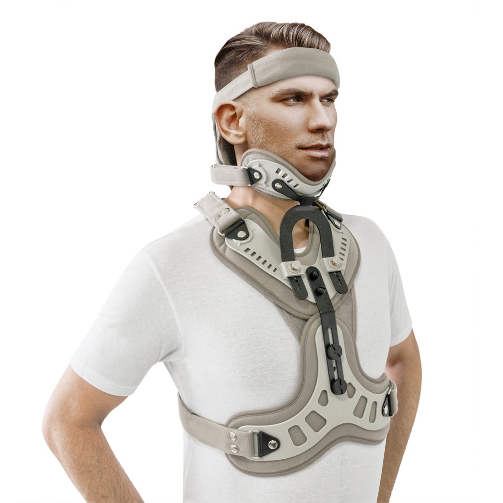 narthikas-minerva-vi-4