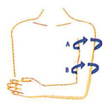 metrisi_bracho-150x150